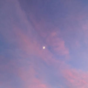 Meet your Posher, Esther